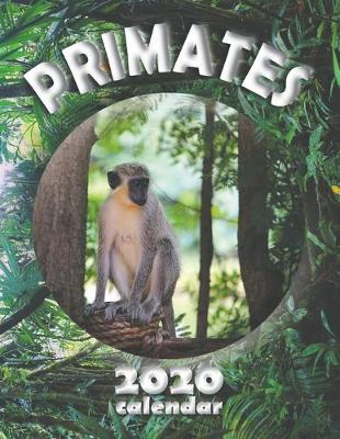 Book cover for Primates 2020 Calendar