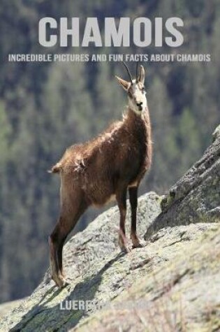 Cover of Chamois