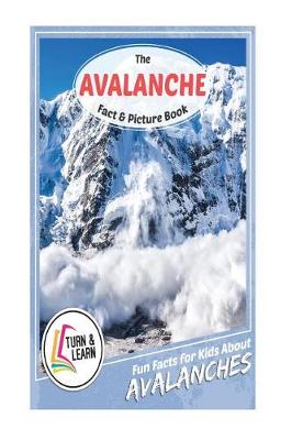 Book cover for The Avalanche Fact and Picture Book