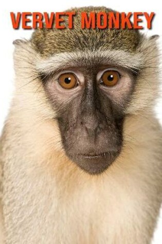 Cover of Vervet Monkey