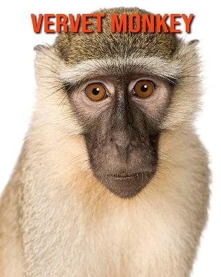 Book cover for Vervet Monkey