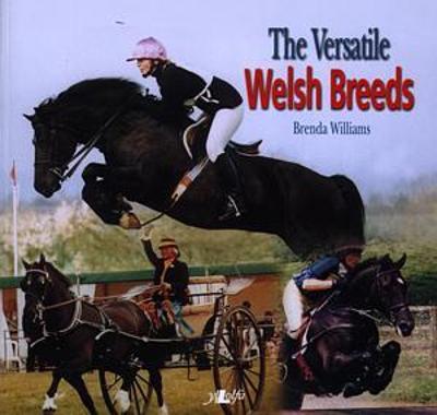 Book cover for Versatile Welsh Breeds, The