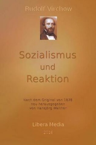 Cover of Sozialismus und Reaktion