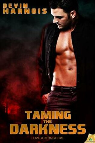 Cover of Taming the Darkness