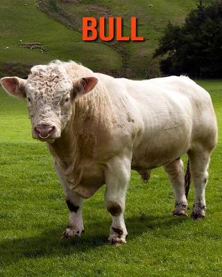 Book cover for Bull