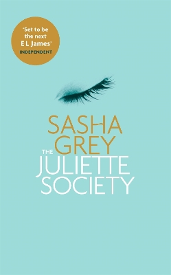 Book cover for The Juliette Society