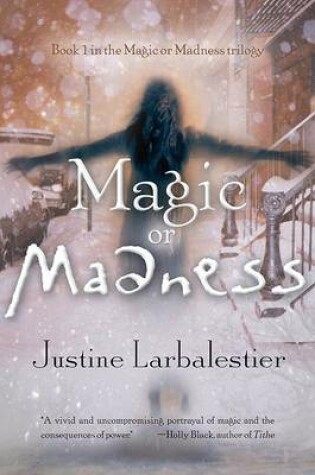 Cover of Magic or Madness