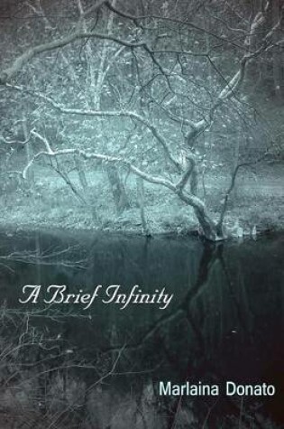 Cover of A Brief Infinity