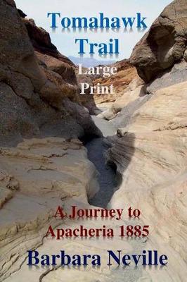 Book cover for Tomahawk Trail Large Print