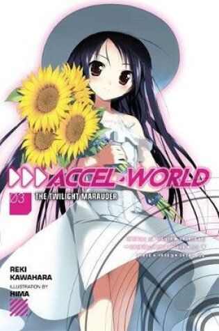 Cover of Accel World, Vol. 3 (light novel)