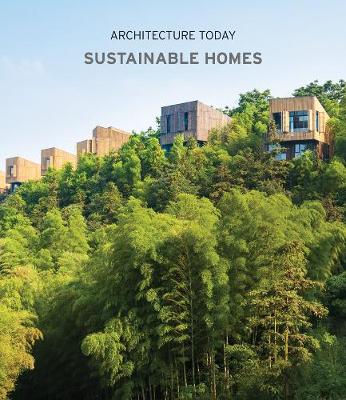 Book cover for Architecture Today: Sustainable Homes