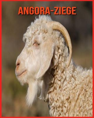 Book cover for Angora-Ziege