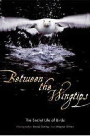 Cover of Between The Wingtips