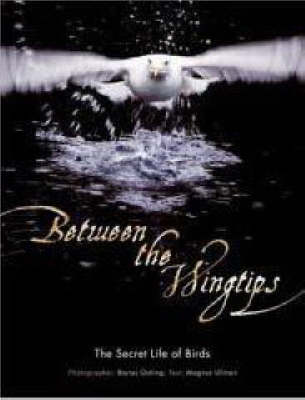 Book cover for Between The Wingtips