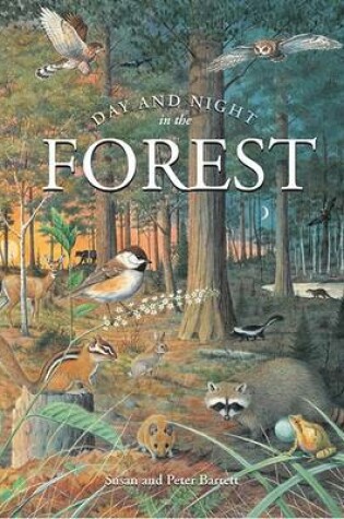 Cover of Day & Night in the Forest
