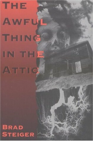 Cover of Awful Things in the Attic