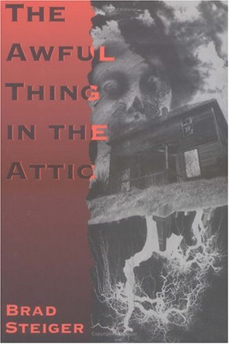 Book cover for Awful Things in the Attic