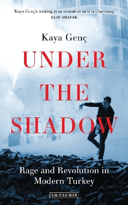 Book cover for Under the Shadow