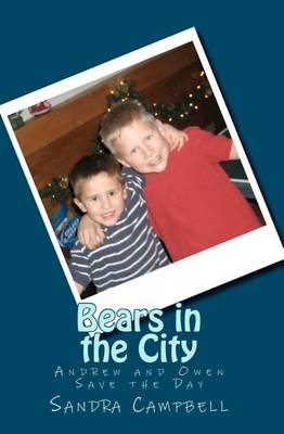 Book cover for Bears in the City