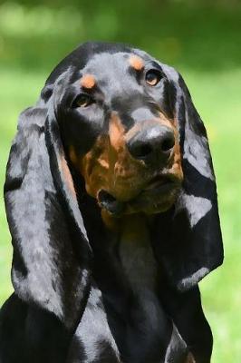 Book cover for Black and Tan Coonhound