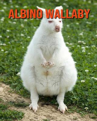 Book cover for Albino Wallaby