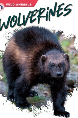 Cover of Wolverines