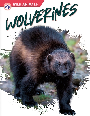 Book cover for Wolverines