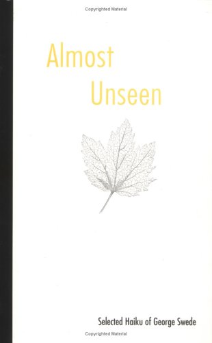 Book cover for Almost Unseen