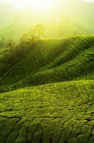 Cover of Tea Plantation