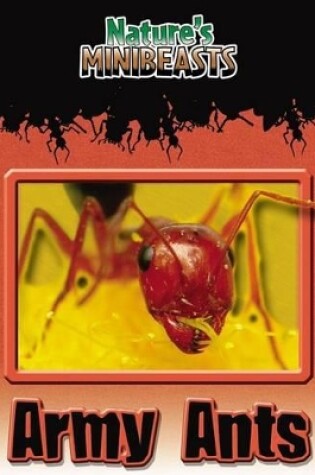 Cover of Army Ants