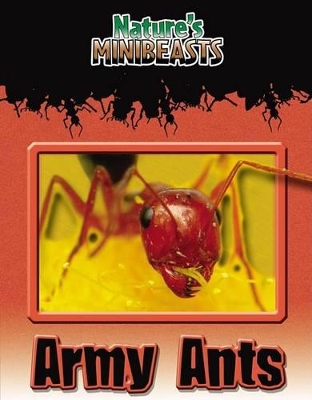 Cover of Army Ants