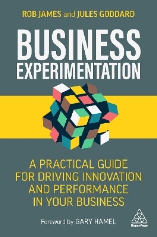 Cover of Business Experimentation