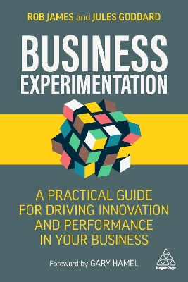 Book cover for Business Experimentation