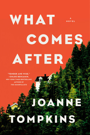 Cover of What Comes After