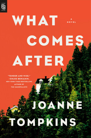 Cover of What Comes After