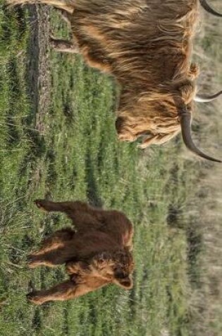 Cover of Baby Highand Cow Calf Frollicking Journal