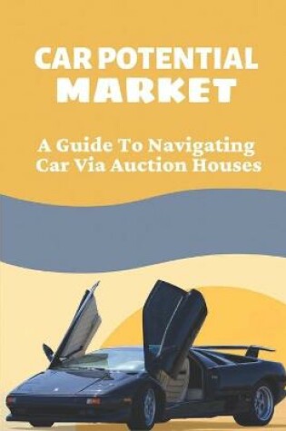 Cover of Car Potential Market