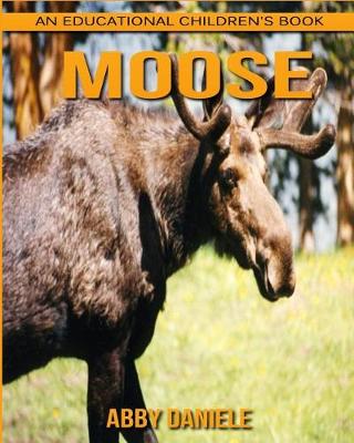 Book cover for Moose! An Educational Children's Book about Moose with Fun Facts & Photos