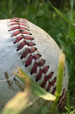 Book cover for Baseball in the Grass Journal