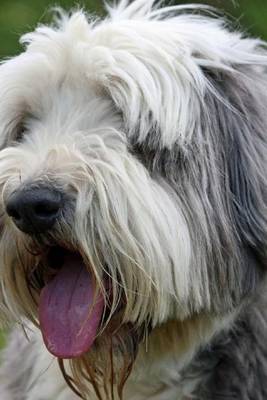 Book cover for A Sitting Bearded Collie, for the Love of Dogs