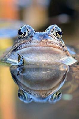 Book cover for Common Frog in a Pond Journal