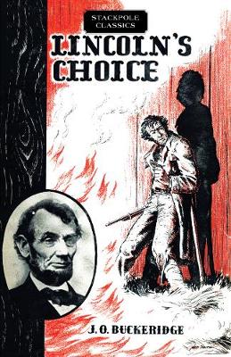 Book cover for Lincoln's Choice