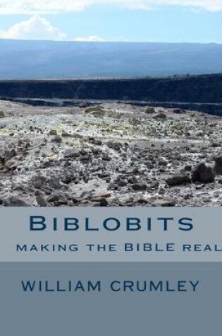 Cover of Biblobits