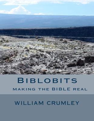 Cover of Biblobits