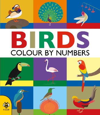 Book cover for Birds