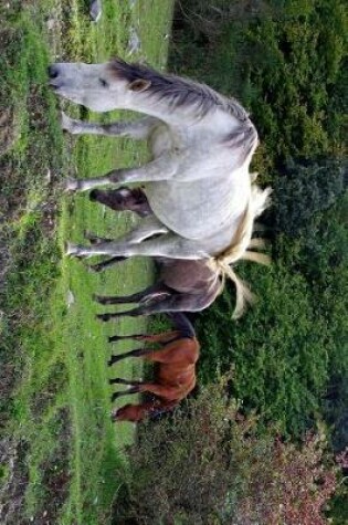 Cover of Three Horses in a Meadow Journal