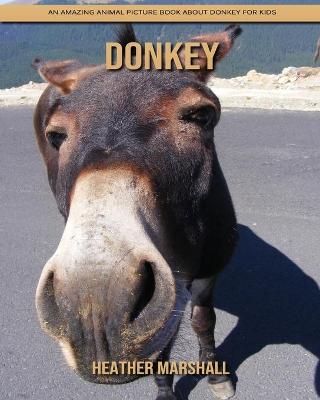 Book cover for Donkey