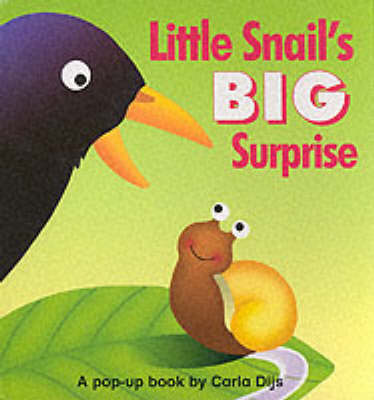 Book cover for Little Snail's Big Surprise