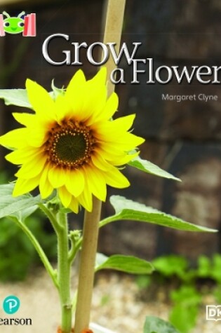 Cover of Bug Club Reading Corner: Age 4-7: Grow a Flower