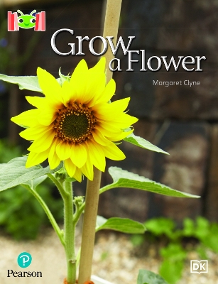 Book cover for Bug Club Reading Corner: Age 4-7: Grow a Flower